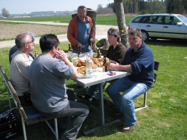 Baumpflege 2010